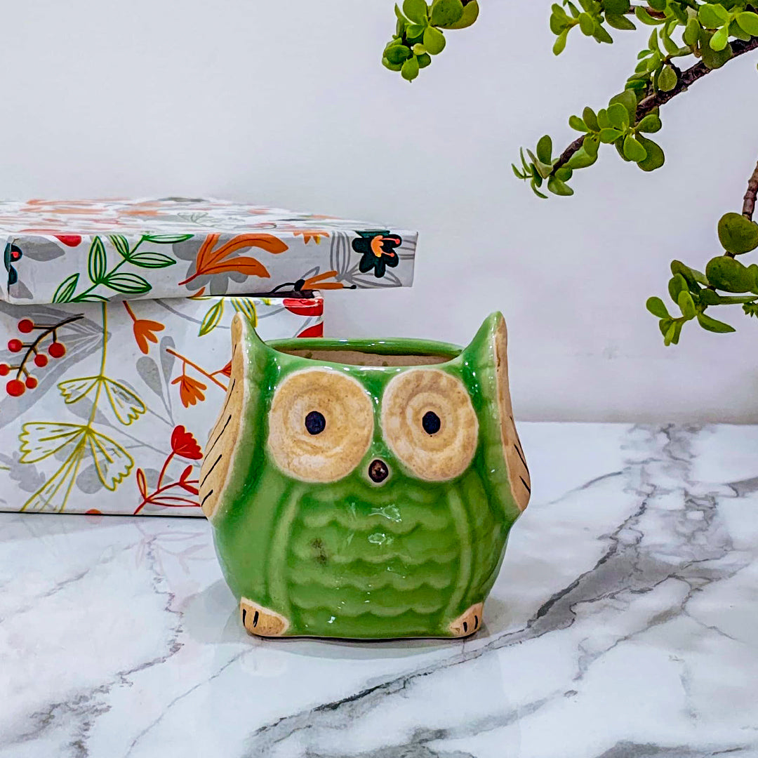 Ceramic Owl Pot | Green