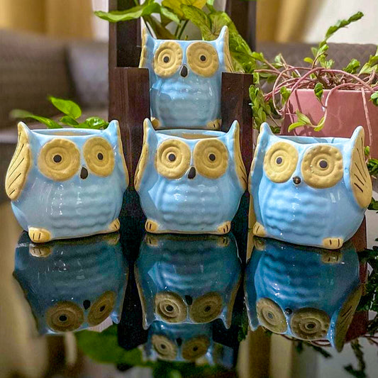 Ceramic Owl Pots Combo | Light Blue