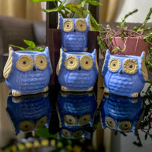 Ceramic Owl Pots Combo | Dark Blue