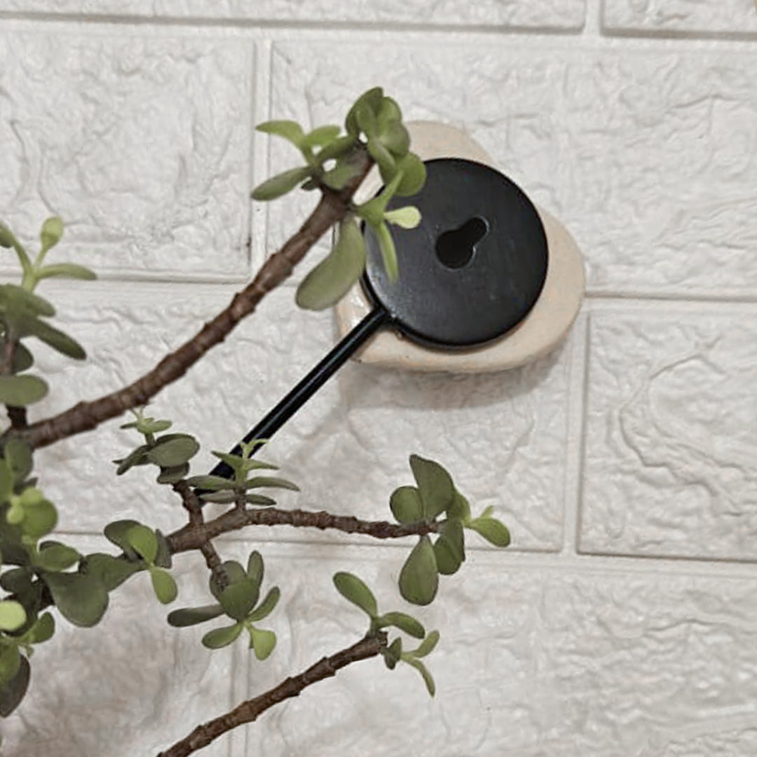 Ceramic Hooks Combo | Set of 9