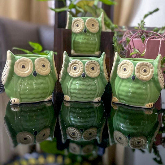 Ceramic Owl Pots Combo | Light Green