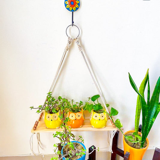 Macrame Boho Shelves 2