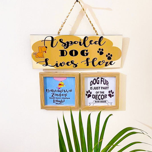 Paw Palace Decor