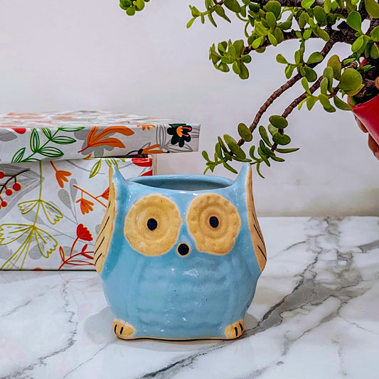 Ceramic Owl Pot | Blue