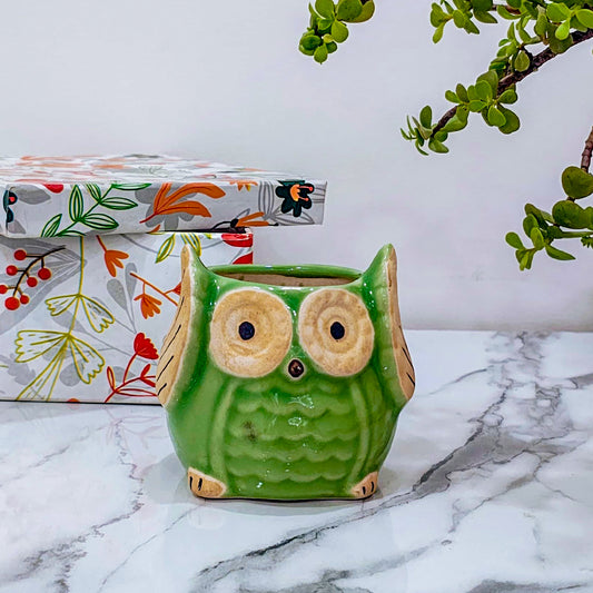 Ceramic Owl Pot | Green