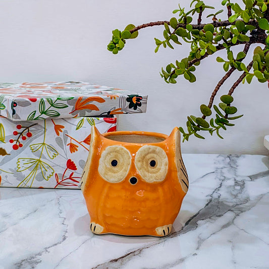 Ceramic Owl Pot | Orange