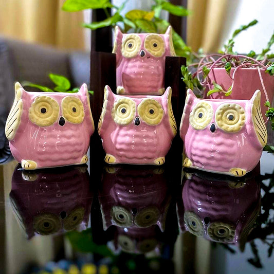 Ceramic Owl Pots Combo | Pink