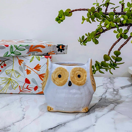 Ceramic Owl Pot | White