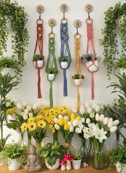 Set of 5 Colorful Macrame Planters