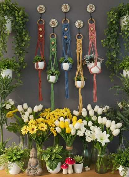 Set of 5 Colorful Macrame Planters