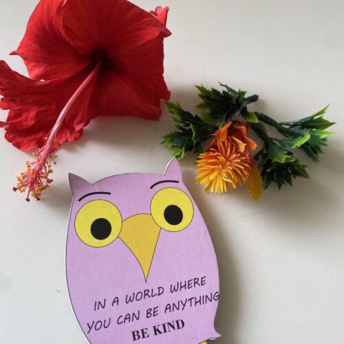 Owl magnet